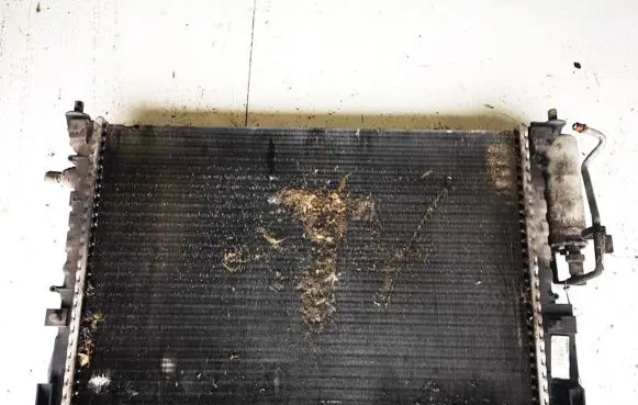 Renault Laguna I Coolant radiator