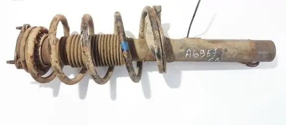 Ford Transit - Tourneo Connect Front shock absorber/damper