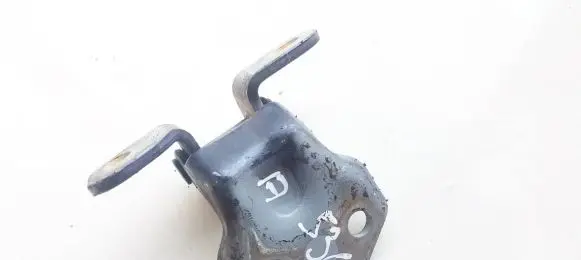 Rear door lower hinge