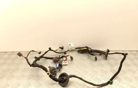Skoda Enyaq iV Rear door wiring loom 5LA971693