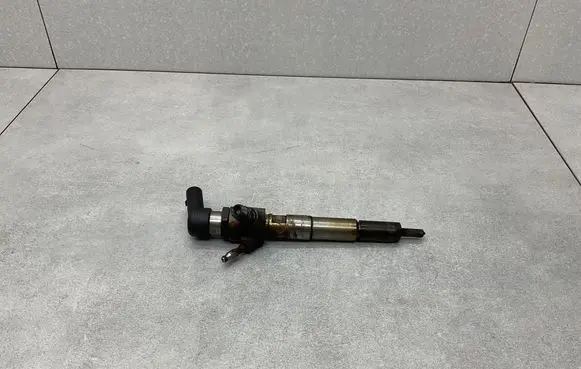 Nissan Qashqai Fuel injector 166006212R H8201100113