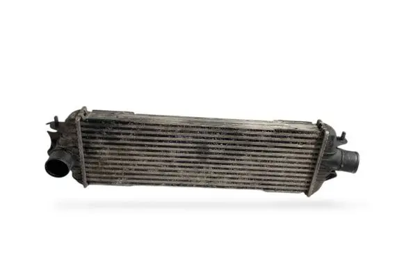 Renault Trafic II (X83) Intercooler radiator 8200219497