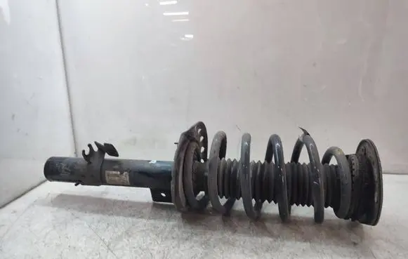 Land Rover Discovery Sport Front shock absorber with coil spring FK7218045AB