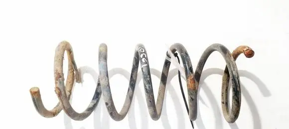 Rear coil spring