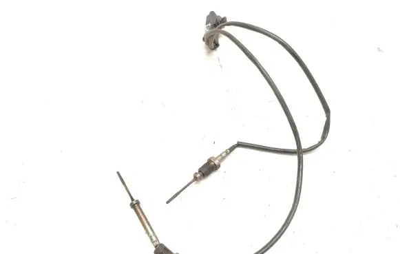 Exhaust gas temperature sensor