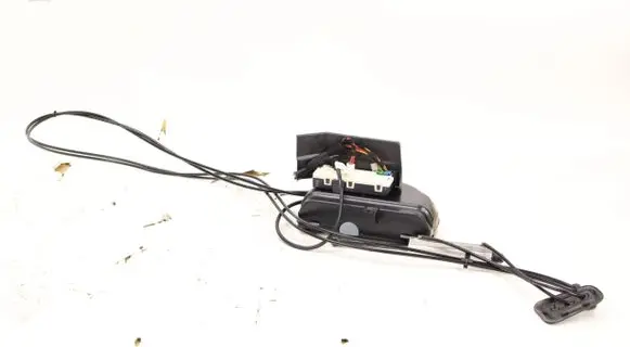 Tailgate strut