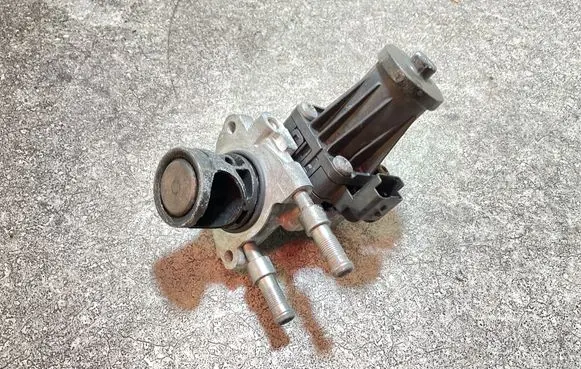 Peugeot Partner III EGR valve 50563924 81061F990 205510859513