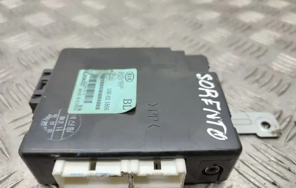 KIA Sorento Other control units/modules 954003E310