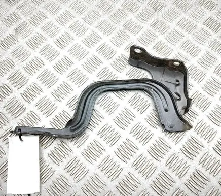 KIA Niro Engine bonnet/hood hinges 79110G5000