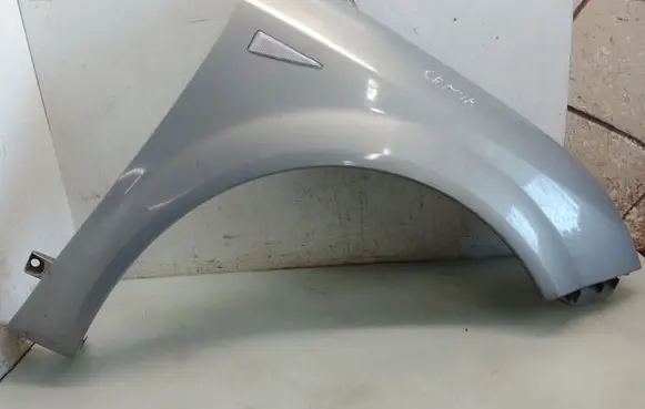 Renault Scenic II - Grand scenic II Fender
