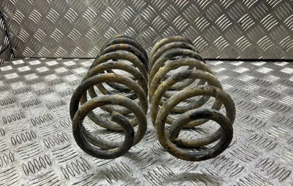 Volkswagen PASSAT B6 Rear coil spring