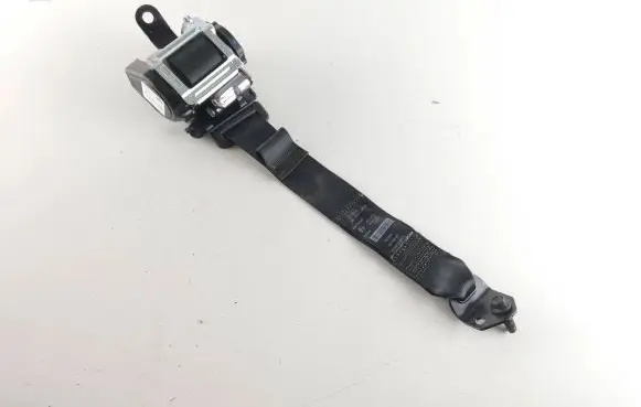 Ford Mustang Mach-E Rear seatbelt LJ8BA611E51AB