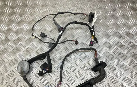 Front door wiring loom