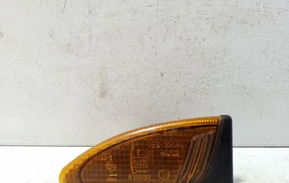 Front fender indicator light