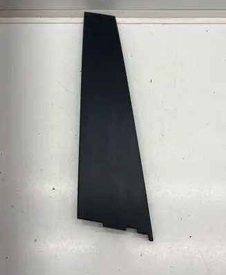 Rear door glass trim molding