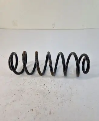 Volkswagen Golf VI Rear coil spring 