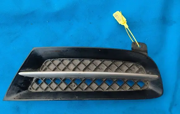 BMW Z4 E89 Front bumper lower grill 7203799