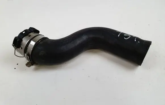 Nissan Juke I F15 Air intake hose/pipe 1103568