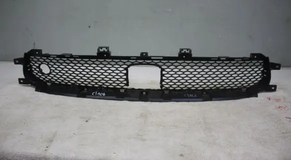 Front fog light trim/grill