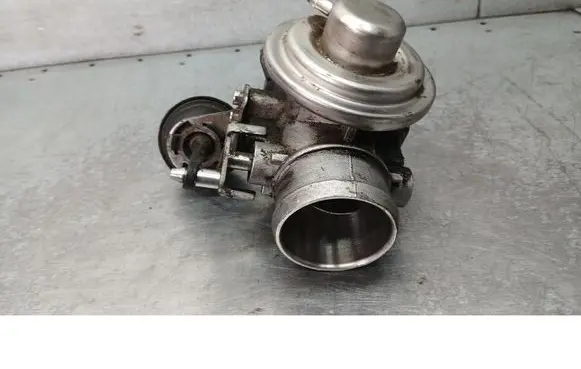 Volkswagen Bora EGR valve 