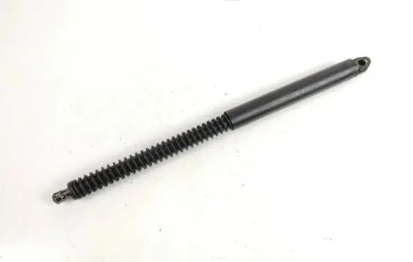 Tailgate strut