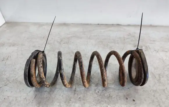 Rear coil spring
