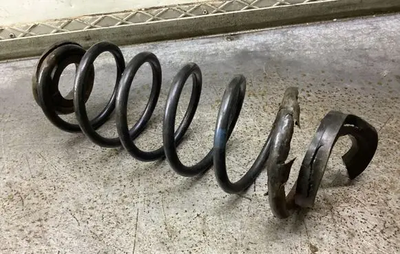 Rear coil spring