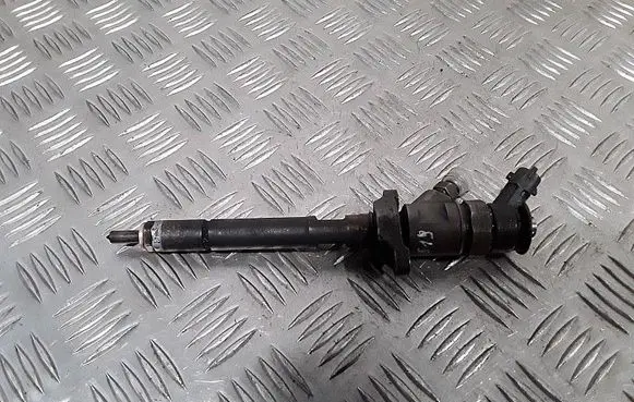Citroen C5 Fuel injector 0445110297