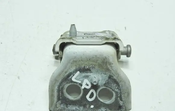 Citroen DS3 Front door hinge set 