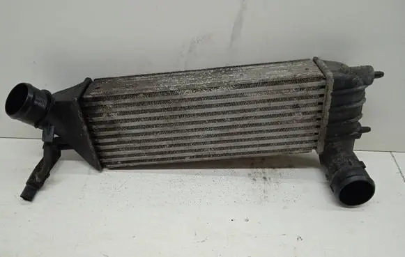 Peugeot 807 Intercooler radiator