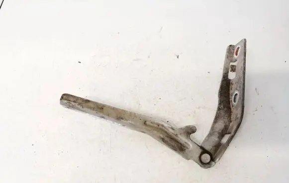 Tailgate/trunk/boot hinge