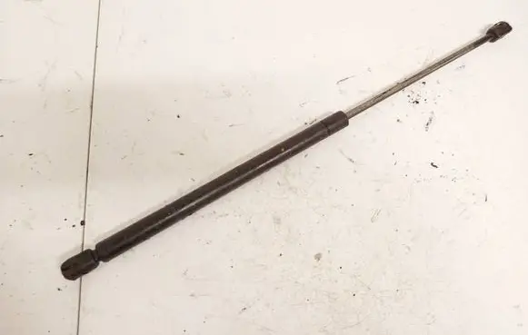 Tailgate/trunk strut/damper