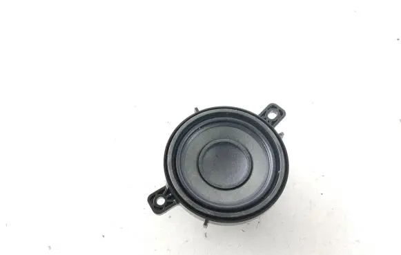 Tesla Model Y Panel speaker 111889400B FB222229F90651