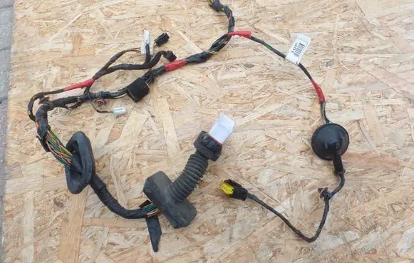 Front door wiring loom