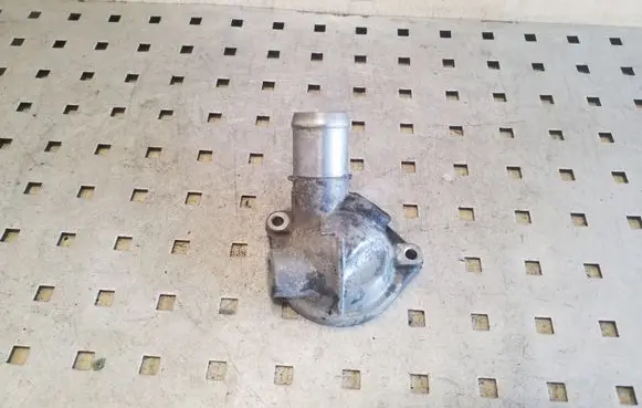 Thermostat/thermostat housing