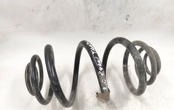 Rear coil spring