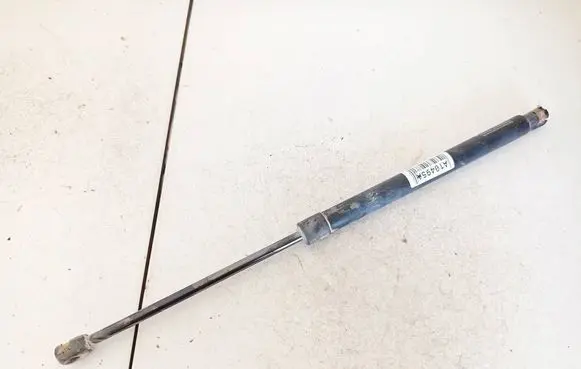 Tailgate/trunk strut/damper