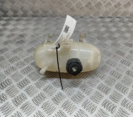 Opel Vivaro Coolant expansion tank/reservoir 217101893R 95517213