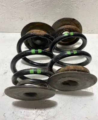 Rear coil spring