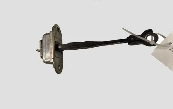 Nissan Juke I F15 Rear door check strap stopper
