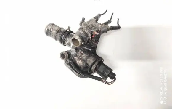 Volkswagen PASSAT B5.5 Engine coolant pipe/hose 038121133a