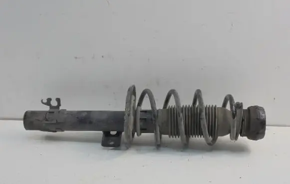 Skoda Fabia Mk3 (NJ) Front shock absorber/damper MGA5793