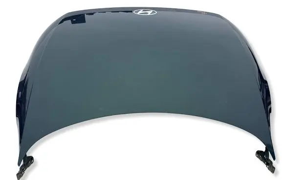 Hyundai Ioniq 5 Engine bonnet/hood 