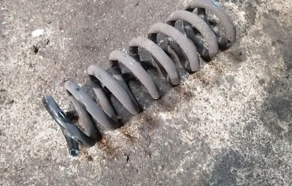 Rear coil spring