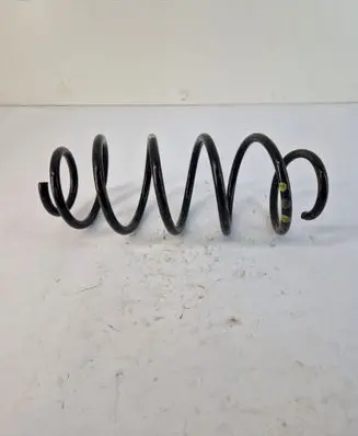 Front coil spring