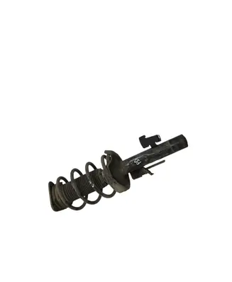 Front shock absorber with coil spring