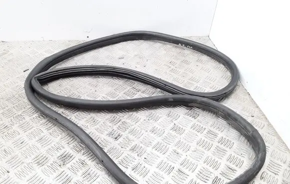 Rear door rubber seal (on body)