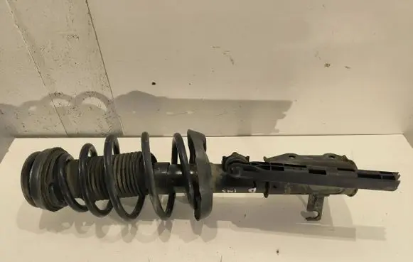 Opel Insignia A Front shock absorber/damper