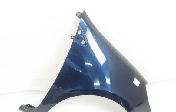 Renault Clio III Fender