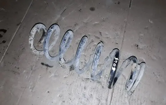Volkswagen PASSAT B6 Rear coil spring NOCODE